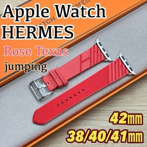 2547 ほぼ未使用 Apple Watch エルメス ジャンピング ローズ