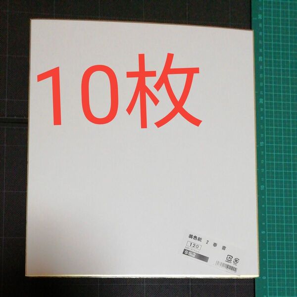 色紙 10枚セット SS2 白紙無地