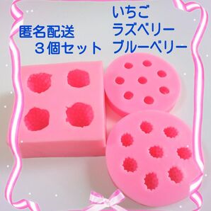 まとめ売り イチゴ ブルーベリー ラズベリー シリコンモールド シリコン型 いちご キャンドル フェイクスイーツ 道具 立体 型