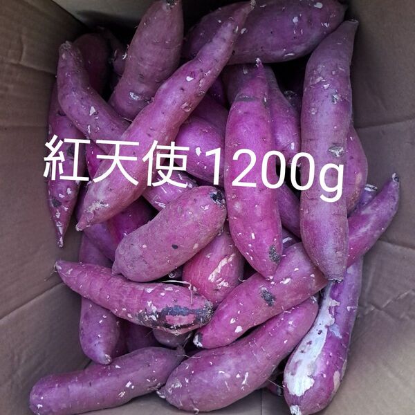 さつまいも 紅天使 1200g