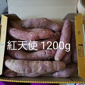 さつまいも 紅天使 1200g