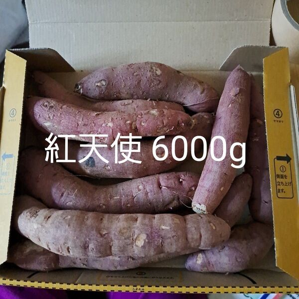 さつまいも 紅天使 6000g