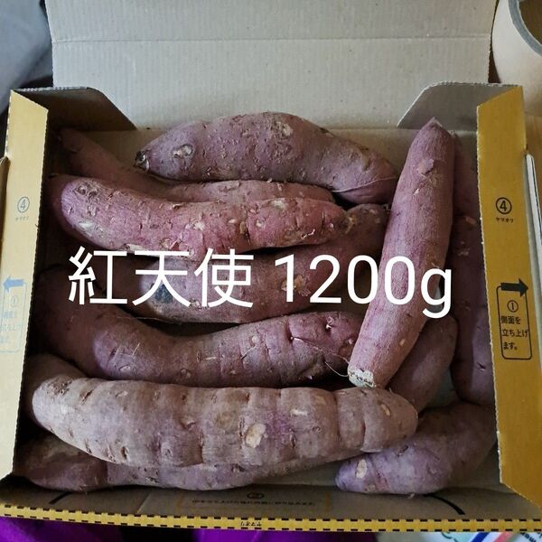 さつまいも 紅天使 1200g