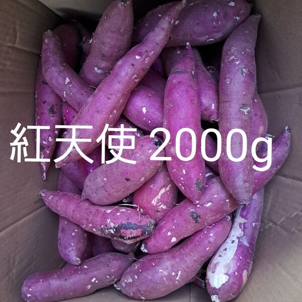 さつまいも 紅天使 2000g