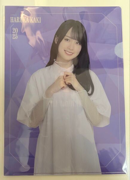 乃木坂46 賀喜遥香 川崎桜 バスラ 特典 クリアファイル セット売り
