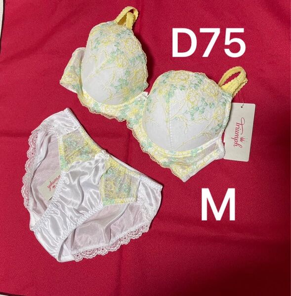 トリンプ D75 M ホワイト ブラショーツセット