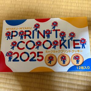 【新品・未開封】ミャクミャクプリントクッキー 12枚入り ミャクミャク 大阪関西万博
