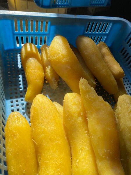 干し芋 べにはるか 丸干し 500g 無農薬 完全天日干し 農家直送