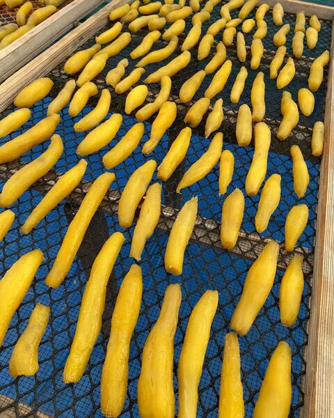 干し芋 べにはるか 丸干し 500g 無農薬 完全天日干し 農家直送