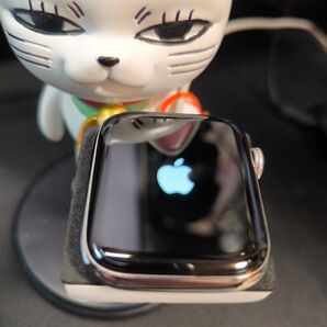 Apple Watch 5 ステンレス シルバー 44mm GPS + Cellularモデル