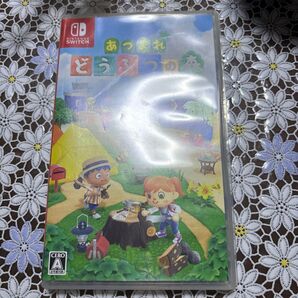 あつまれどうぶつの森 ケースのみ