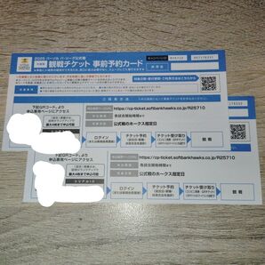 2025年ソフトバンクホークス みずほPayPayドーム 観戦チケット② 事前予約カード 2枚