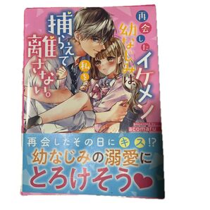 再会したイケメン幼なじみは私を捕らえて離さない。とぎゅっとしててね?