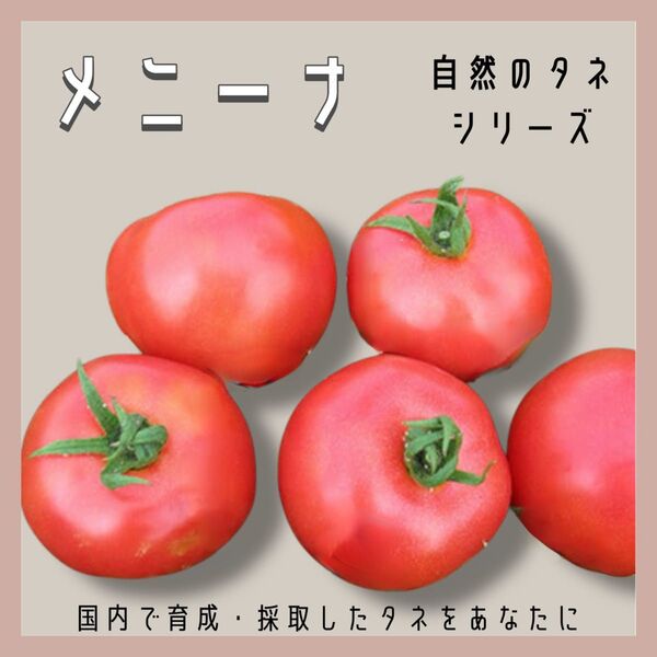 【国内育成・採取】 メニーナ 家庭菜園 種 タネ トマト 野菜