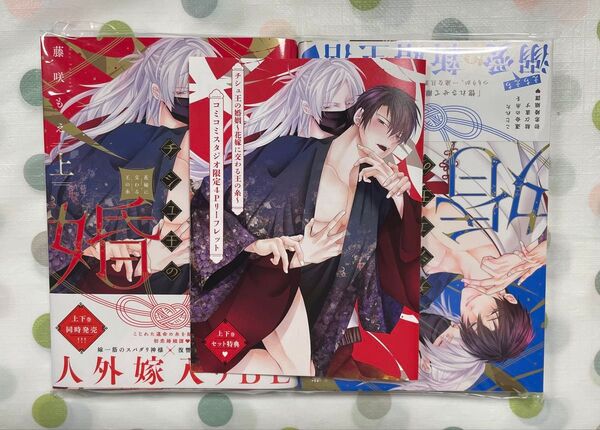 【BL】【コミコミ特典付き】チシュ王の婚姻~花嫁に交わる王の糸~ 上・下セット 藤咲もえ