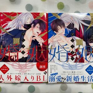 【BL】チシュ王の婚姻~花嫁に交わる王の糸~ 上下巻 藤咲もえ
