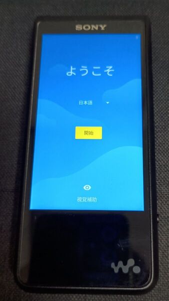 WALKMAN NW-ZX507 (※バッテリー劣化あり)