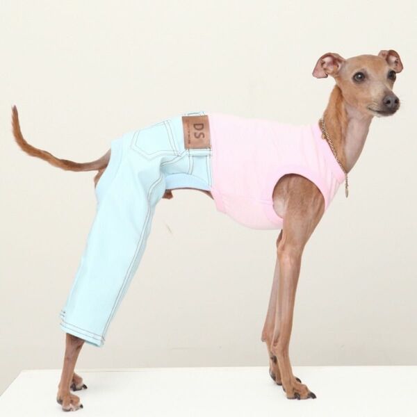 イタグレ服 犬服 S M L XL 2XL 3XL デニム ロンパース 春 夏 秋 パジャマ 小型犬 中型犬 大型犬
