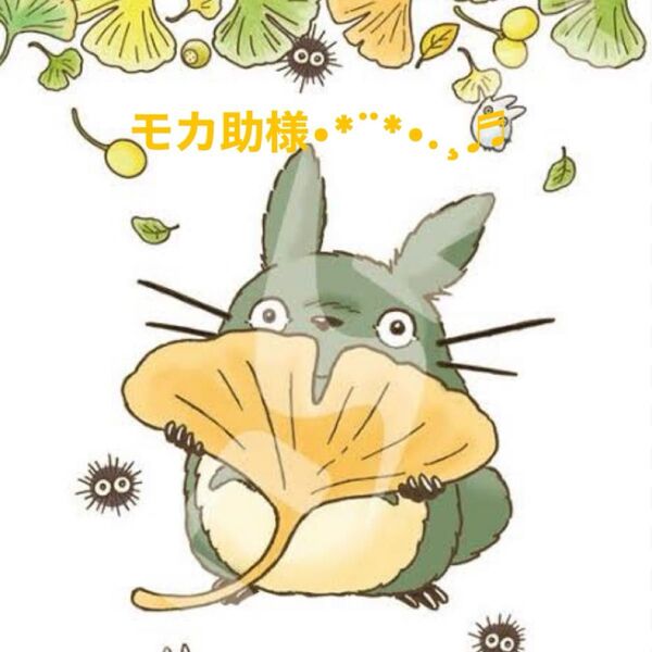 モカ助様*¨*.ハンドメイド生地
