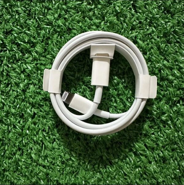 新品 純正 iPhone Lightning ライトニングケーブル USB-C Apple タイプC ケーブル