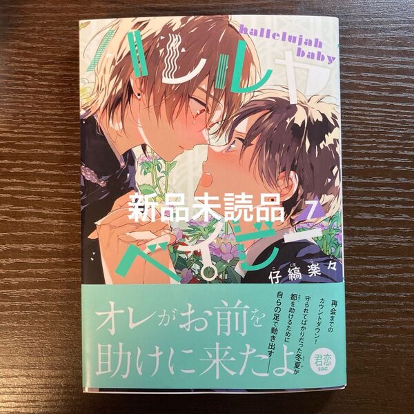 新品未読品 ハレルヤベイビー 7 仔縞楽々