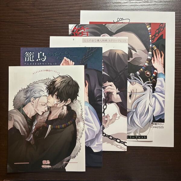 新品未読品 籠鳥 特典 アニメイト とらのあな ホーリン コミコミ リーフレット