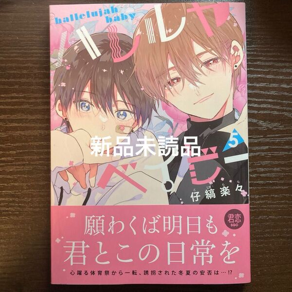 新品未読品 ハレルヤベイビー 5 仔縞楽々