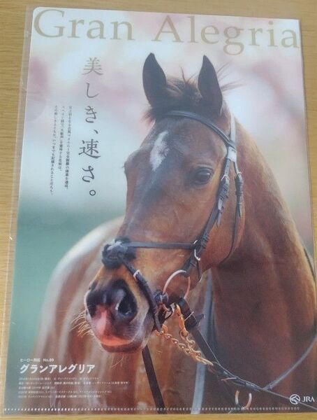 JRA ヒーロー列伝 クリアファイル No.89 グランアレグリア Gran Alegria