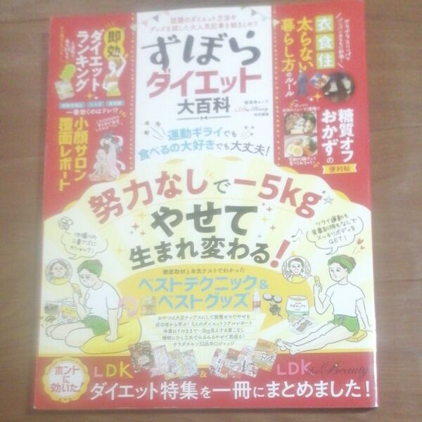 LDK the Beauty特別編集 ずぼらダイエット大百科