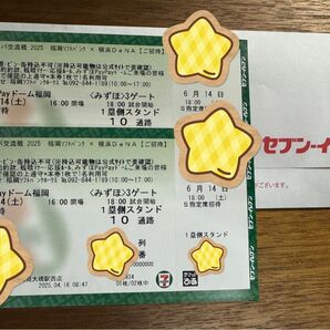 ソフトバンク ホークス対DeNA 交流戦 6月14日(土) S指定席 一塁側 ペアチケット