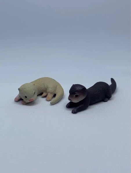 コツメカワウソ (子ども) / カプセルアニア 子どもどうぶつ編