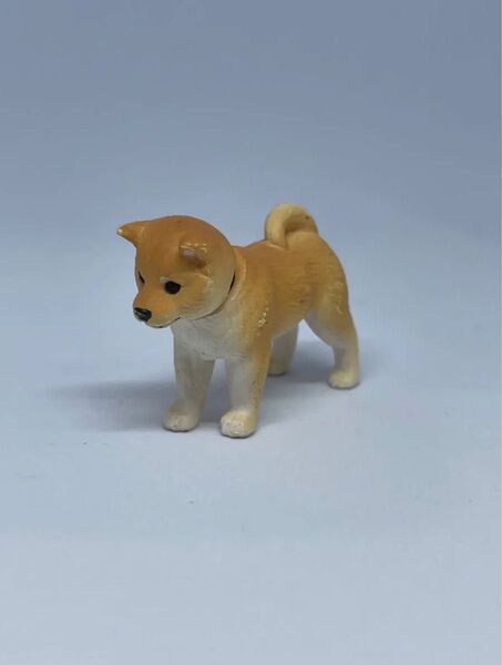 柴犬 シバイヌ 廃盤 アニアくじ2 どうぶつのこどもコレクション