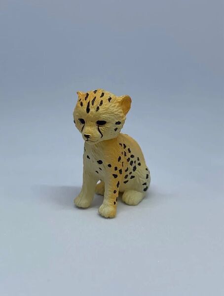 チーター (子ども) / カプセルアニア 子どもどうぶつ編
