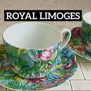未使用 ROYAL LIMOGES ロイヤルリモージュ Eden エデン ペア