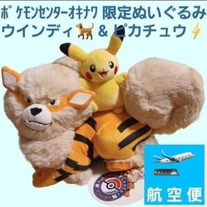 ポケモンセンターオキナワ限定 ウインディとピカチュウぬいぐるみ 入手難易度高