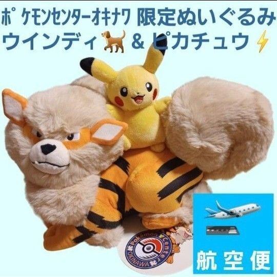 ポケモンセンターオキナワ限定 ウインディとピカチュウぬいぐるみ 入手難易度高