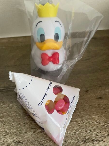 ディズニーランド ドナルドパルパルーザ スーベニア ミニスナックケース 未使用