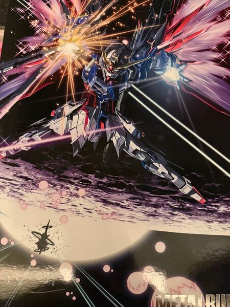 METAL BUILD デスティニーガンダム (フルパッケージ) フルパッケージ デスティニーガンダム