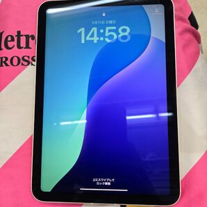 iPad mini Cellular+Wi-Fi 64GB