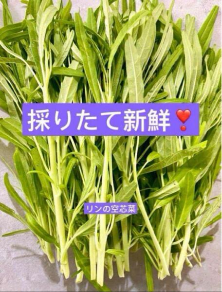 採りたて新鮮!生で頂ける 柔らかくて美味しい!白い茎ホワイト空芯菜 1kg