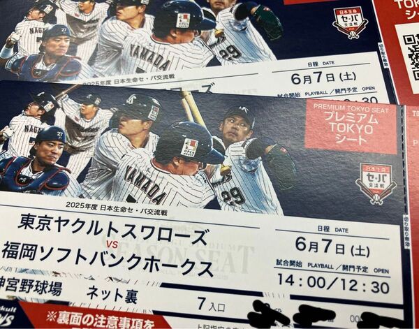 値下げ!【2枚セット】6/7(土)14:00- ヤクルトスワローズvsソフトバンクホークス ネット裏 前から数列目 通路側連番