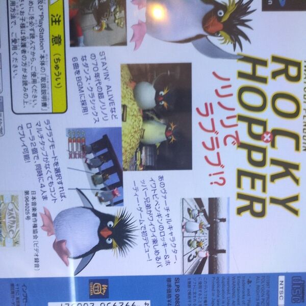 イワトビペンギンROCKY&HOPPER