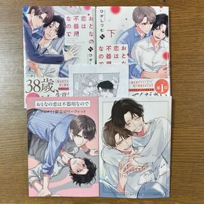 おとなの恋は不器用なので 上・下 / ひがしづむ