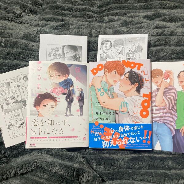 BL 新刊 コミック 好きになるから近づくな/僕たちが恋になるまで 特典