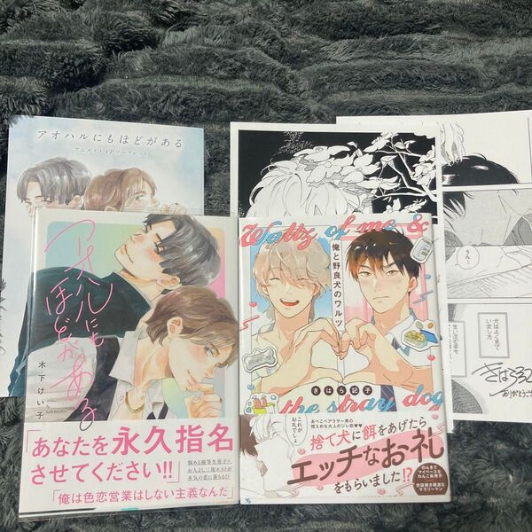 BL 新刊 コミック アオハルにもほどがある/俺と野良犬とワルツ 特典