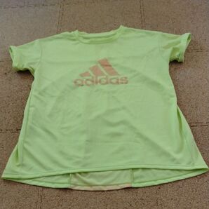 アディダス 半袖Tシャツ Tシャツ イエロー 黄色ネオンカラー 半袖 adidas ADIDAS ジュニアサイズ