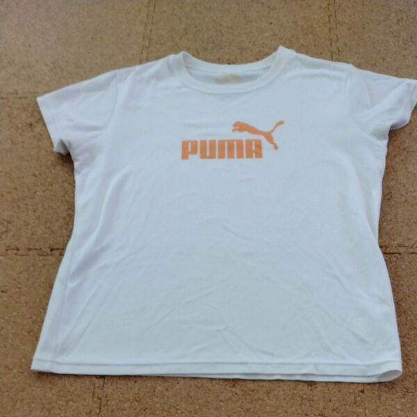プーマ 半袖Tシャツ Tシャツ 白 ホワイト 半袖 PUMA Puma puma ジュニアサイズ