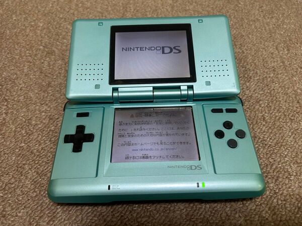 Nintendo ニンテンドー DS 水色 本体 任天堂 充電器付き ニンテンドーDS