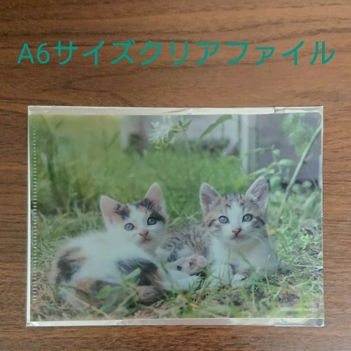 ベローチェ 岩合光昭こねこグッズキャンペーン 子猫クリアファイル②