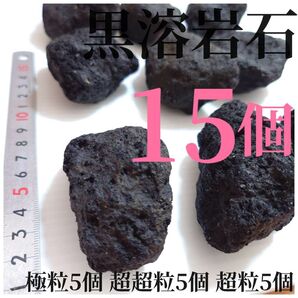 黒溶岩石 15個 【極粒5超超5超5】☆アクアリウム、テラリウム、苔リウムに最適
